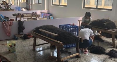 Anhui Neobeauty Hair Products Co.,Ltd