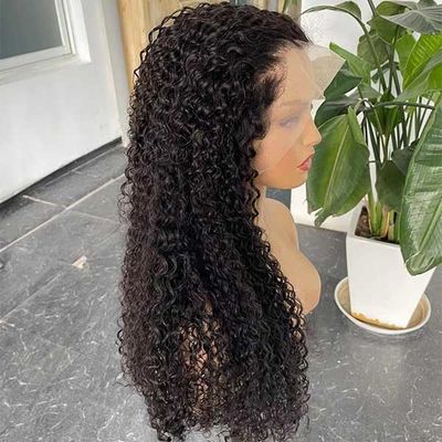 13x4 Glueless Transparent Human Hair Lace Wig Double Drawn Jerry Kinky Curly Brazilian Frontal