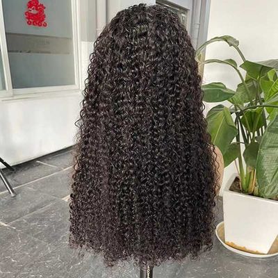 13x4 Glueless Transparent Human Hair Lace Wig Double Drawn Jerry Kinky Curly Brazilian Frontal