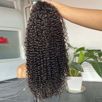 13x4 Transparent Human Hair Lace Wig Kinky Curly Frontal Glueless Natural Color