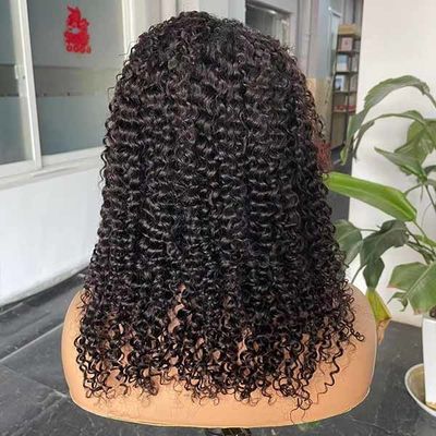 13x4 Transparent Human Hair Lace Wig Kinky Curly Frontal Glueless Natural Color