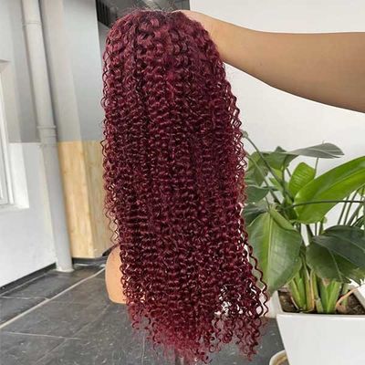 Burgundy Transparent 360 HD Human Hair Lace Wig Frontal Jerry Curl OEM