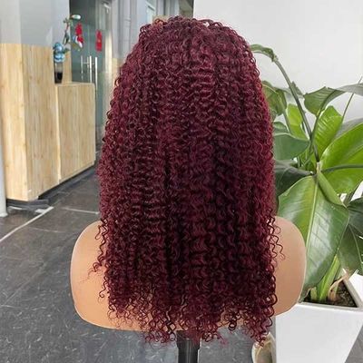 Burgundy Transparent 360 HD Human Hair Lace Wig Frontal Jerry Curl OEM