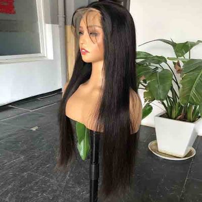 Very Full 300 Density Undetectable Swiss HD Lace Wig Straight Hair