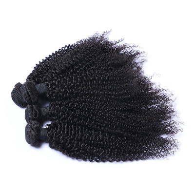 Brazilian Virgin Kinky Curly Raw Hair Bundles Cuticle Aligned 10A Grade
