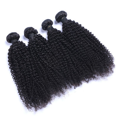 Brazilian Virgin Kinky Curly Raw Hair Bundles Cuticle Aligned 10A Grade
