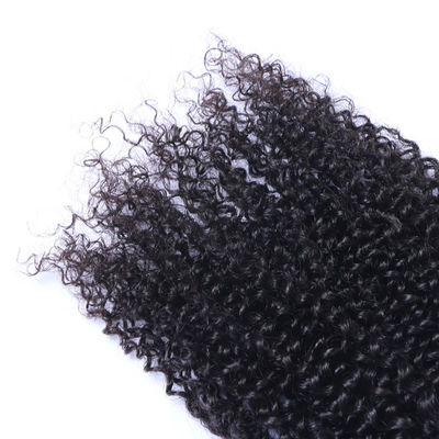 Brazilian Virgin Kinky Curly Raw Hair Bundles Cuticle Aligned 10A Grade