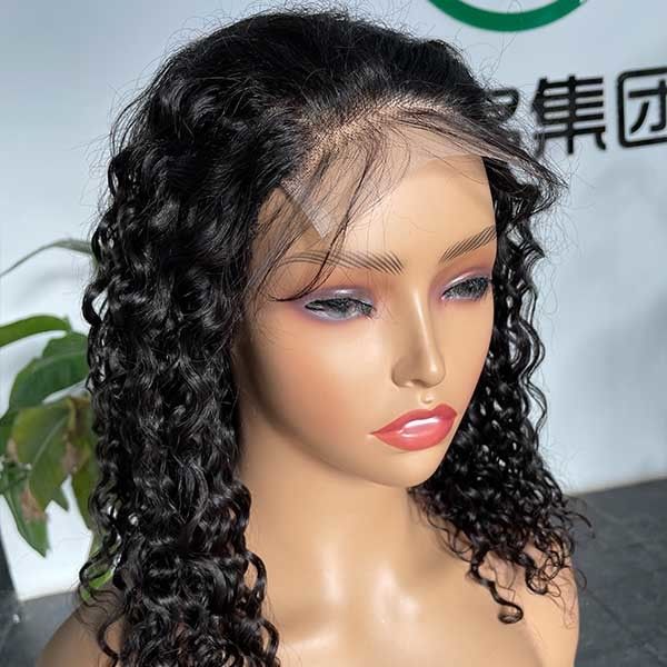 10 inch Transparent 4X4 Lace Closure Wig Short Body Wave Wig Human Hair 4