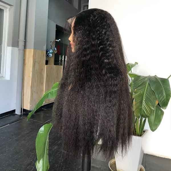 Super Double Drawn Preplucked HD Lace Wig Closure 6X6 Swiss Human Hair 1